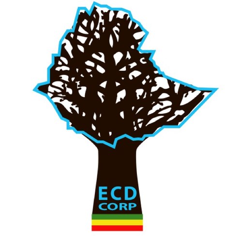 Transforming traditional knowledge into tangible goods and services. Expanding cultural diplomacy and creative capital between US & Ethiopia.