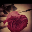 ترف (@09765556) Twitter