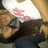 camirincon01's profile image