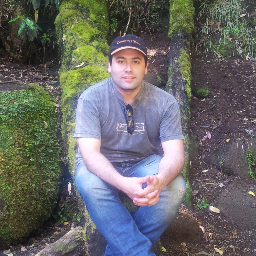 Ingeniero de sistemas... Tesista de Magíster en TI - UChile... Proyecto de red social orientada a organizaciones