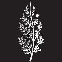 Coffex Coffee (@coffexcoffee) 's Twitter Profile