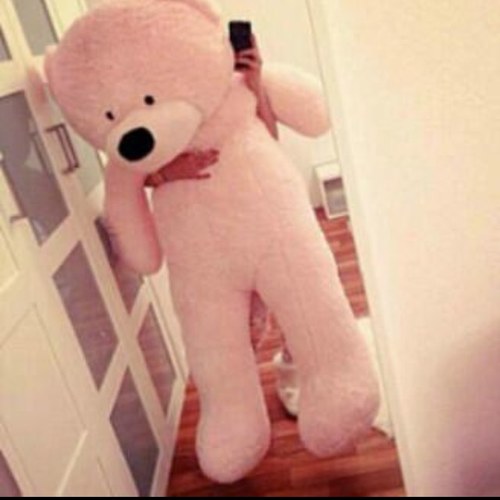 vb6vb6's profile picture. ً!!!!!