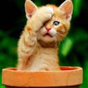 LaurenceRobert - @LaurenceRobert6 - Twitter