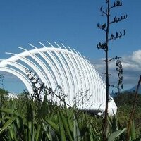 Mark  Ryan (@markryan1956) 's Twitter Profile