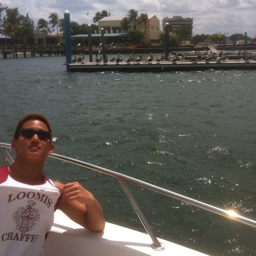A proud pelican and bulldog