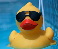 BBopinions's profile picture. Live-Tweets, Alumni Rt's & More!! Keeping a PG-13 rating on this account, Promise!