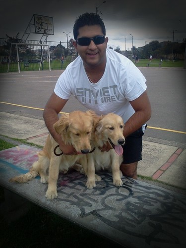 AlEjohernandez's profile picture. 