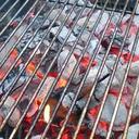 Shane Mackey - @carnivore_AZ - Twitter