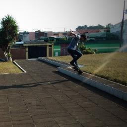 Skateboarding!!! 4 ever !!