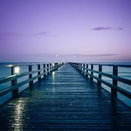 95Lenina's profile picture. 