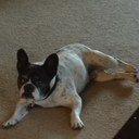 denise Karr - @pinkgood89 - Twitter