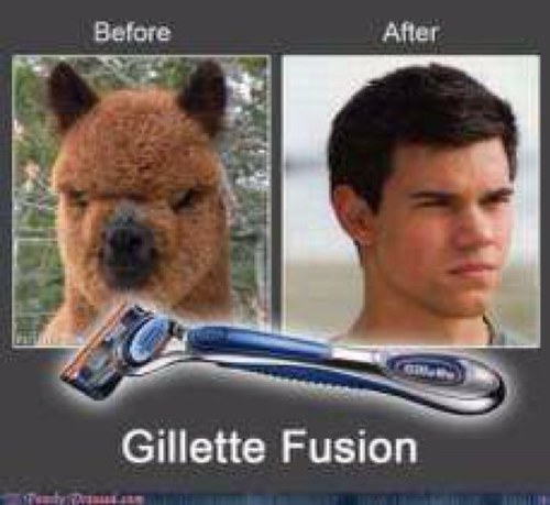 djdhejdbjsheudb's profile picture. いろいろやってます