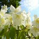 نووورا (@197770Nora) Twitter