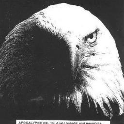 Rev.8:13:I beheld and heard the voice of an EAGLE flying through the midst of heaven, saying with a loud voice: WOE, WOE, WOE to the inhabitants of the earth.