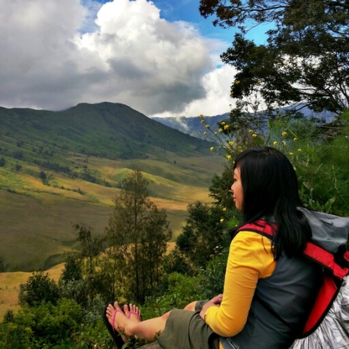 ochicuy's profile picture. 