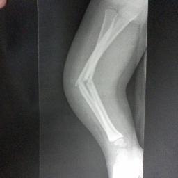 JimKernell's profile picture. Independent Health & Life Insurance Agent. I Specialize in Protecting Assets and Careers through Unique Insurance Plans.