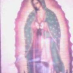 sigueme y te sigo