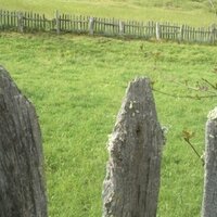 MontseLuqueG (@montseluqueg) 's Twitter Profile