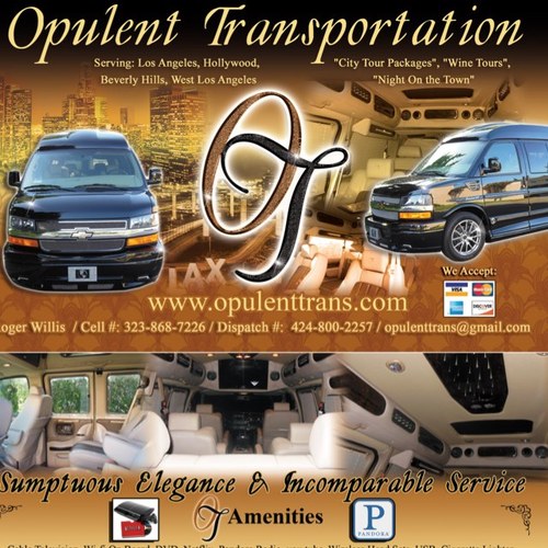 opulenttrans's profile picture. 