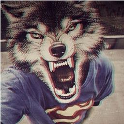 seilarmooon's profile picture. 