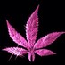 Anonymous (@mjsecretshopper) Twitter profile photo