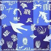 Feray Salman (@feraysalman) Twitter profile photo