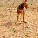 Michael Appel - @Leachim61 - Twitter