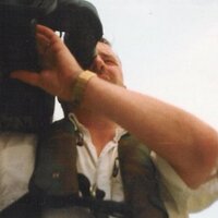 Matt Kelly (@mattoceallaigh) 's Twitter Profile