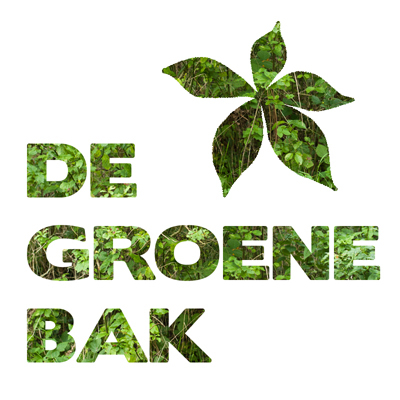 'De Groene Bak' is een project over duurzaamheid georganiseerd door jongeren van cultureel poppodium De Bakkerij in Castricum met steun van Youth in Action.