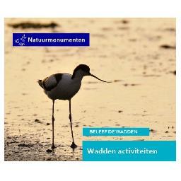 Beleef de Wadden met Natuurmonumenten