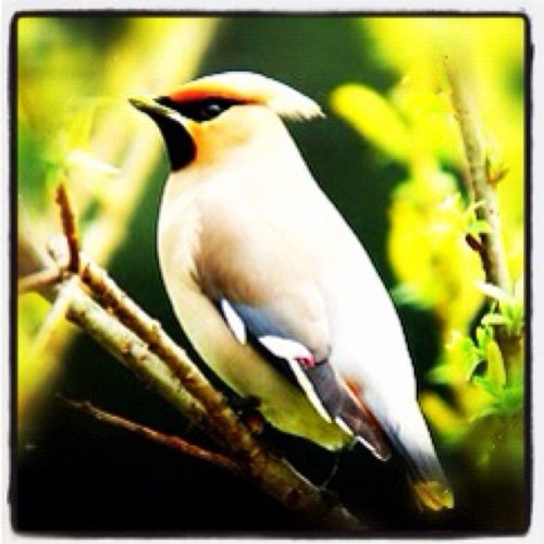 tolly_ninnin's profile picture. どうも！服部 こと とりぃです！(*^^*) テキトーな感じでまったりとやってきますー( ´ ▽ ` )  石材店/ショートムービー/YOASOBI/合唱/ヒッチハイク日本一周/温泉/津軽三味線/読書/嫁娘2人♡猫♡