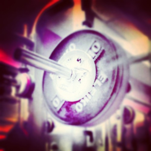 Phaneronn's profile picture. I've seen enough Hentai to know that love is.