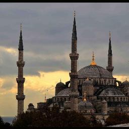 mtajamulhussain's profile picture. 