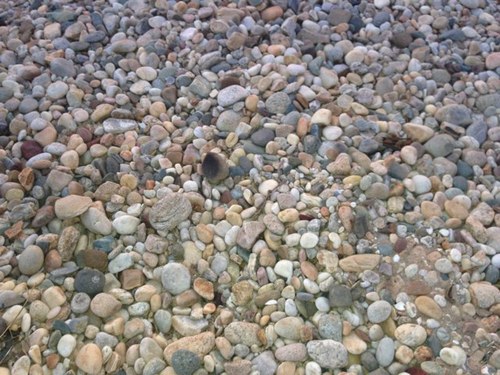 RebGord's profile picture. 