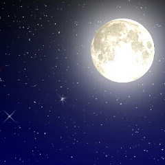 tukihami_bot's profile picture. とある湖の傍で、幾度となく満ち欠けを繰り返す月を見上げながら、少年少女は呟いた。  世界と向き合うのに疲れた少年少女が呟くだけの場所。フォロバは皆にするよ。嫌なひとは伝えてね。基本全自動。稀に手動でお話するよ