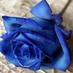 Paloma Murcia (@pamurtro) Twitter profile photo