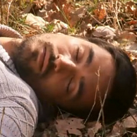 Antoine L'Etalon (@antoineetalon) 's Twitter Profile Photo