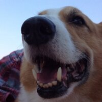 tobyo (@tobbyoko) 's Twitter Profile Photo tobyo (@tobbyoko) 's Twitter Profile Photo