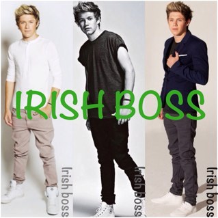 One Dream. One Band. One Direction. Not the real niall horan