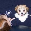 Julie LeVan - @JMom007 - Twitter