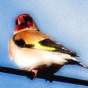 Catherine Smith - @Cathy2560 - Twitter