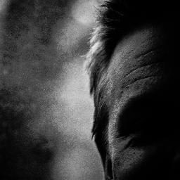 TheYlikangas's profile picture. Ämpäri sadalle ensimmäiselle seuraajalle