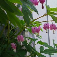 금광2동(시민소통관) (@kk2dong) 's Twitter Profile Photo