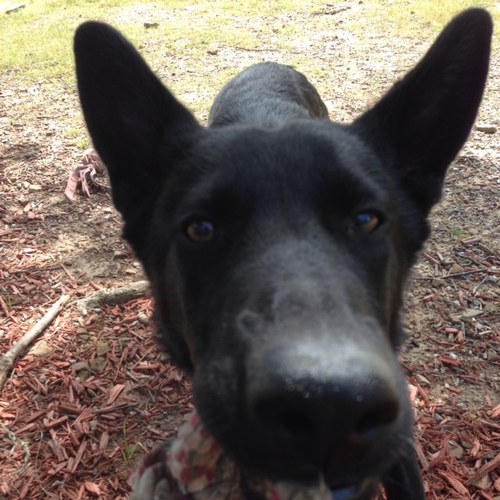 jeffflkramer's profile picture. 