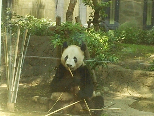 usamimi1977's profile picture. ピアノ🎹F1🏁SUP🏄‍♀️キャンプ⛺️ ライコネン引退してF1熱は少し冷め気味💦 週末はSUP＆キャンプ、平日は楽しくピアノの練習、時々（？）🎹遠征の日々を送っています