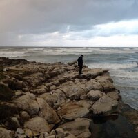 erol yesilyurt (@erolys) 's Twitter Profile Photo