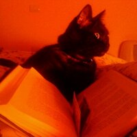 ly (@tengoungatoroco) 's Twitter Profile