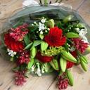 Marianne Clarke - @MarianneClarke1 - Twitter