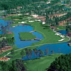 GregBergner1's profile picture. 