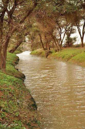 ربي ادخلنا جنتك ففيها مالاعين رأت ولاأذن سمعت ولا خطر على قلب بشر..